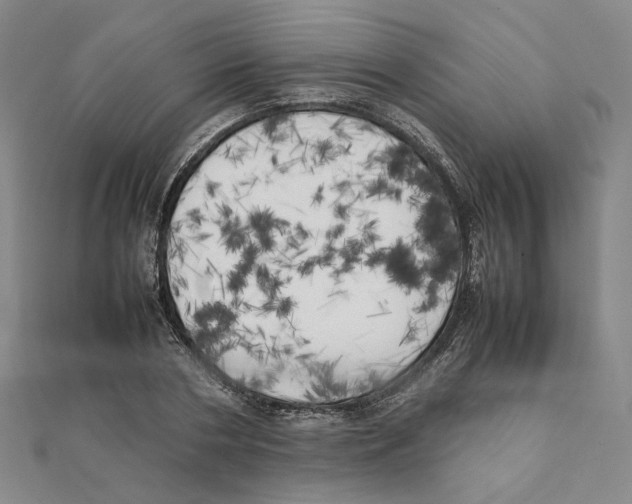 X0000111150786200907281131