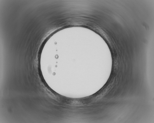 X0000111150787200907281131