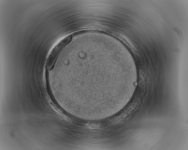 X0000111150788200907281131