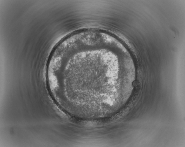 X0000111150791200907281131