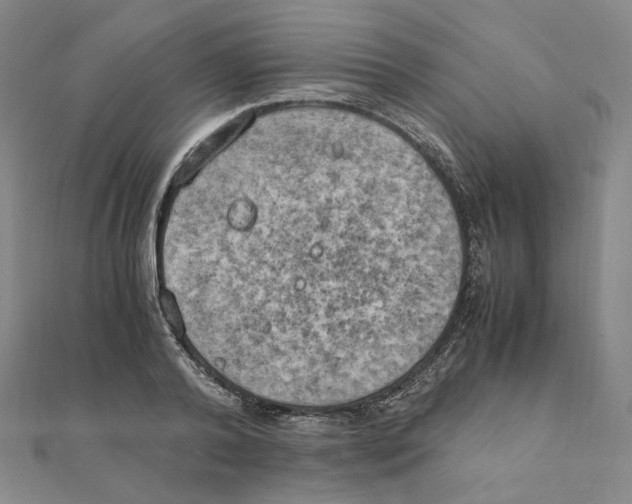 X0000111150792200907281131