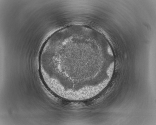 X0000111150795200907281131