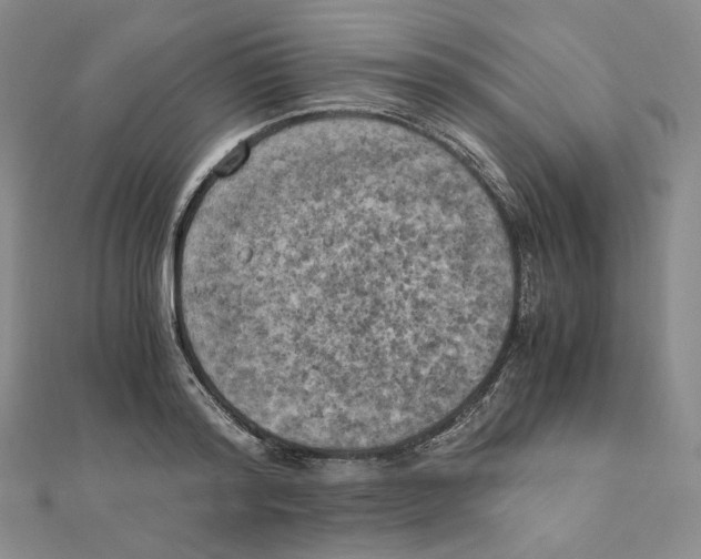 X0000111150796200907281131