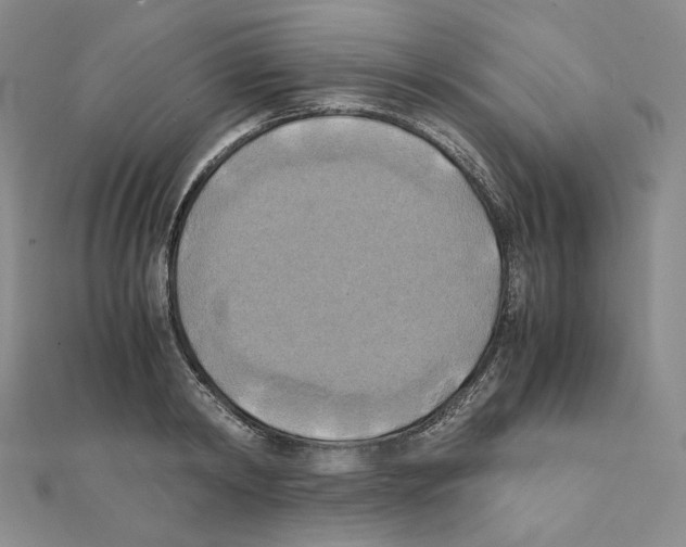 X0000111150798200907281131