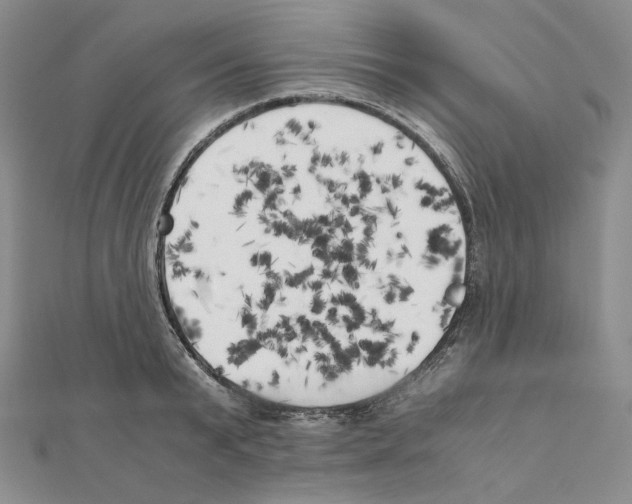 X0000111150799200907281131