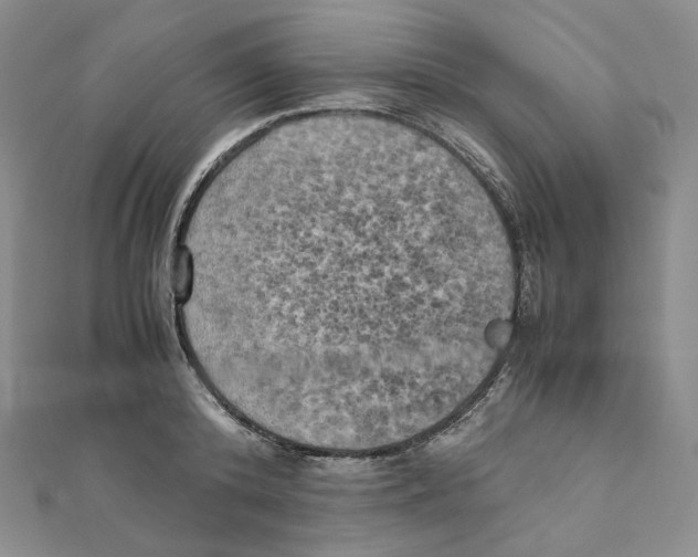 X0000111150800200907281131