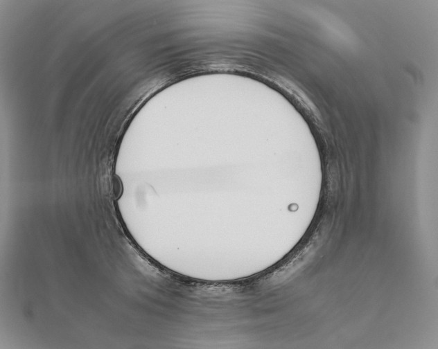 X0000111150801200907281131