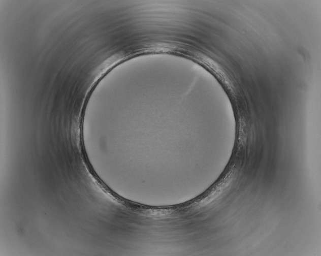 X0000111150802200907281131