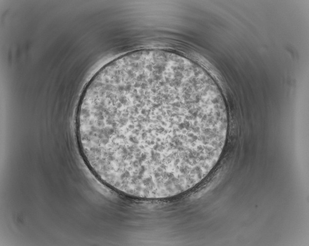 X0000111150803200907281131