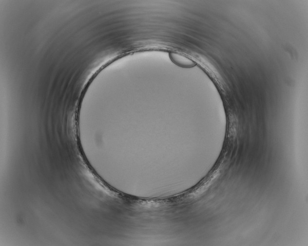 X0000111150806200907281131