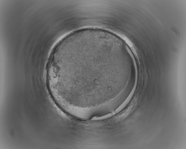 X0000111150807200907281131