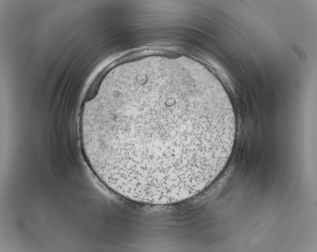 X0000111150808200907281131