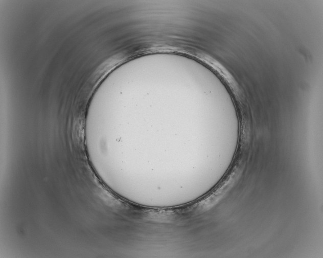 X0000111150809200907281131