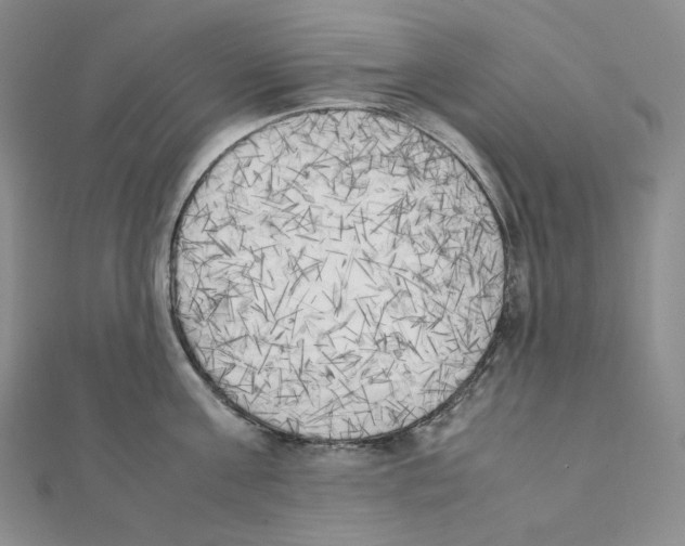 X0000111150811200907281131