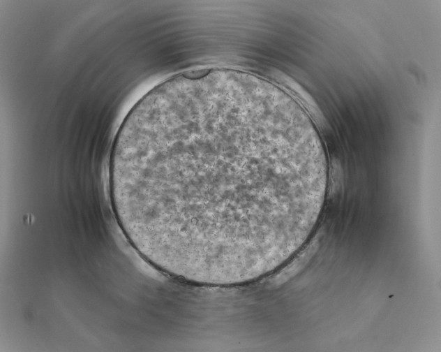 X0000111150812200907281131