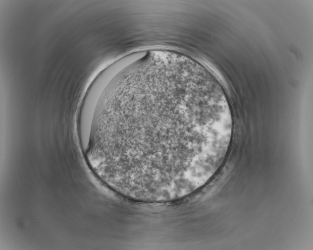 X0000111150813200907281131