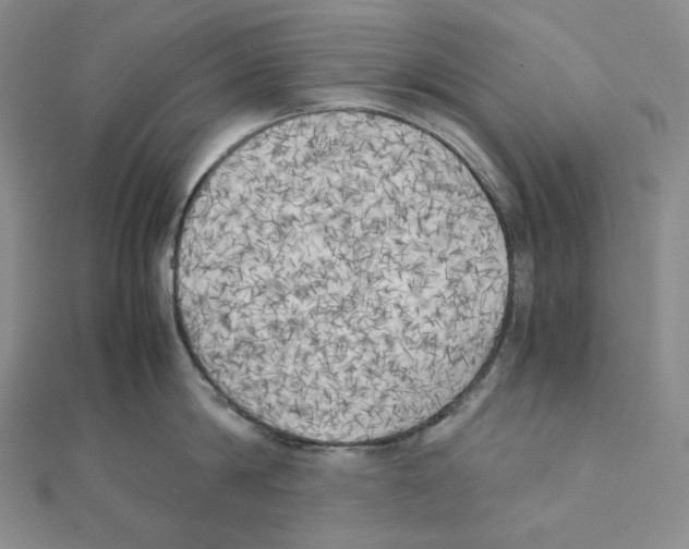 X0000111150814200907281131