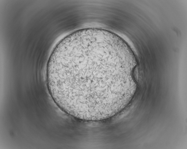 X0000111150815200907281131