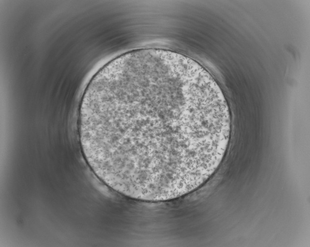 X0000111150816200907281131