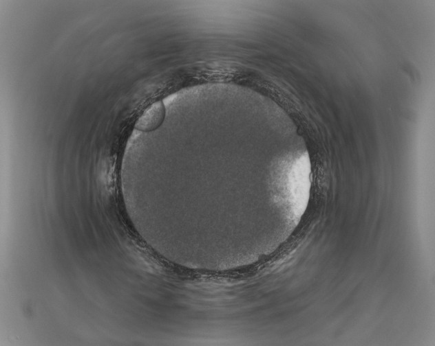 X0000111150818200907281130