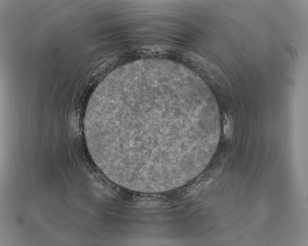 X0000111150819200907281130