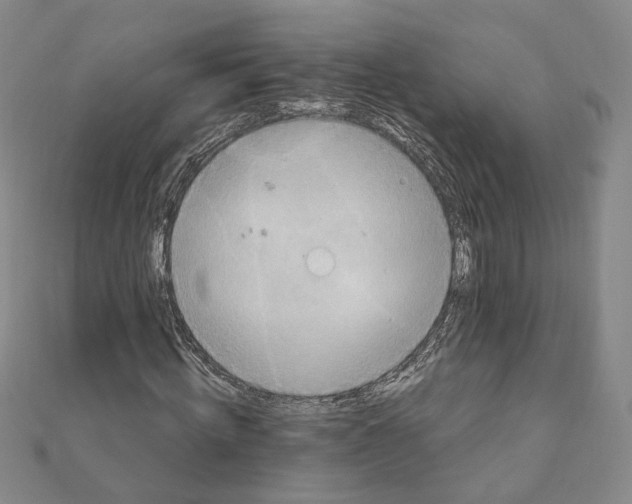 X0000111150820200907281130