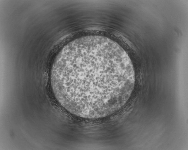 X0000111150821200907281130