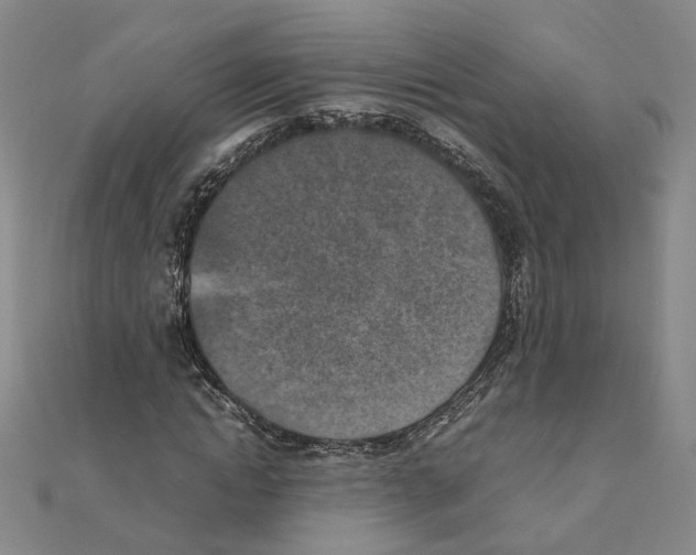 X0000111150822200907281130