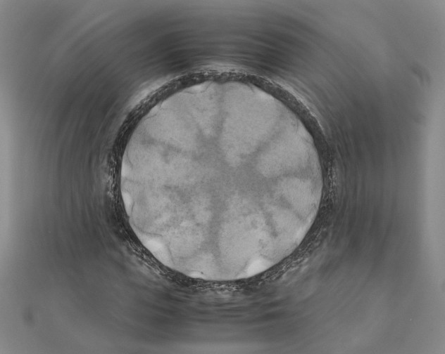 X0000111150823200907281130