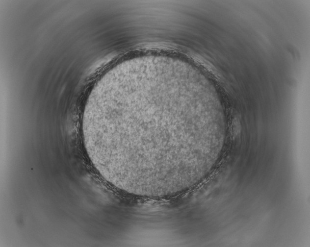 X0000111150824200907281130