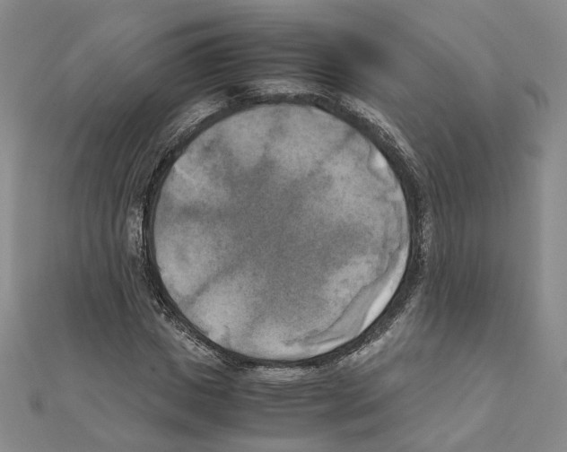 X0000111150825200907281130