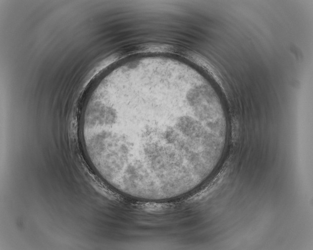 X0000111150827200907281130