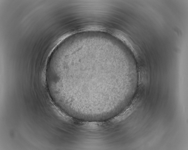 X0000111150828200907281130