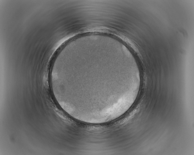 X0000111150830200907281130