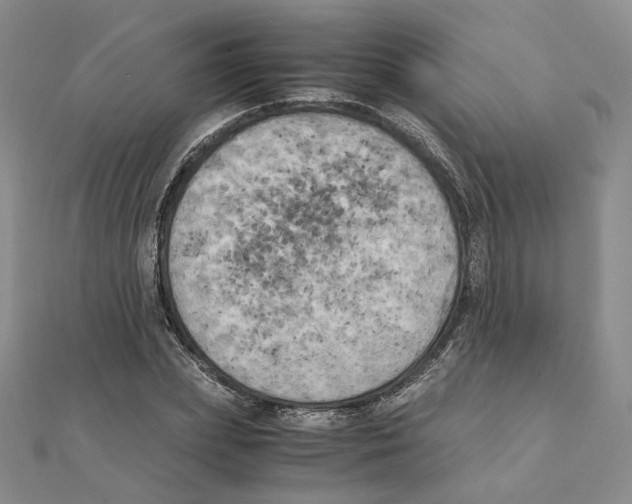 X0000111150831200907281130