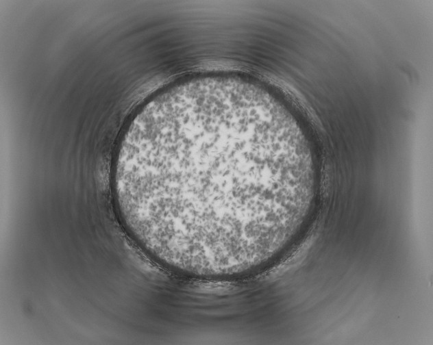 X0000111150833200907281130