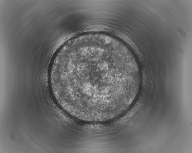 X0000111150834200907281130