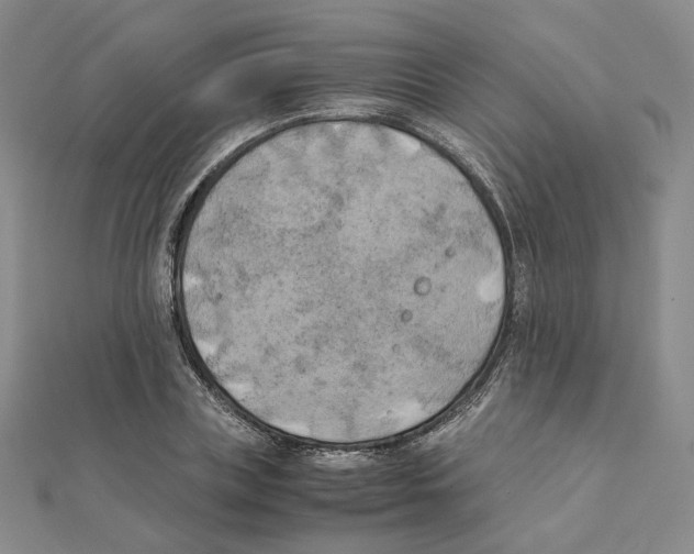 X0000111150835200907281130