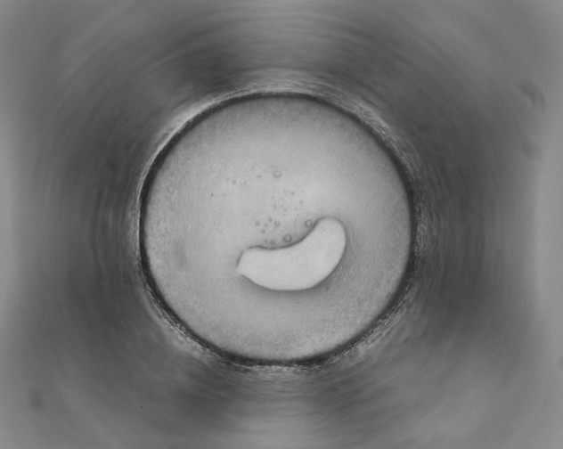 X0000111150836200907281130