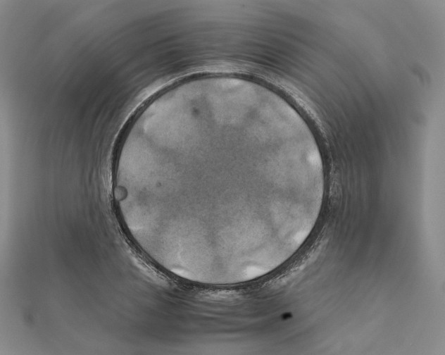 X0000111150837200907281130