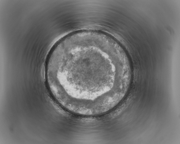 X0000111150838200907281130