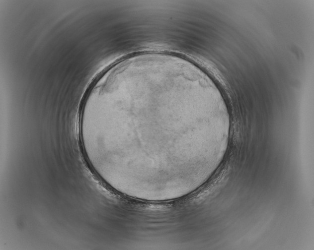 X0000111150839200907281130