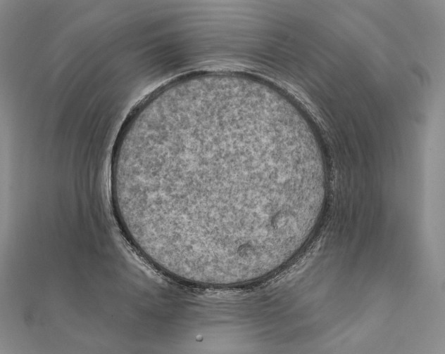 X0000111150840200907281130