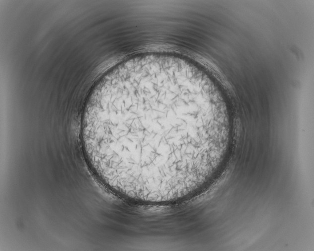 X0000111150841200907281131