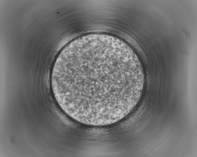 X0000111150842200907281131