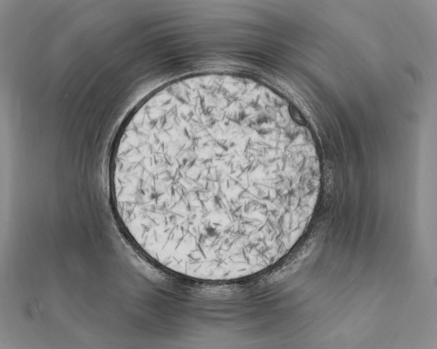 X0000111150843200907281131