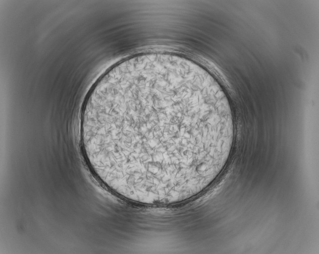 X0000111150844200907281131