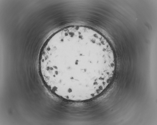 X0000111150845200907281131