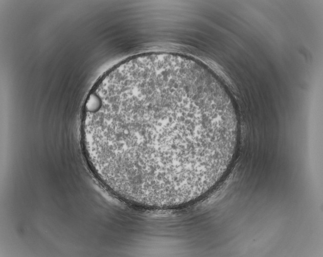 X0000111150846200907281131