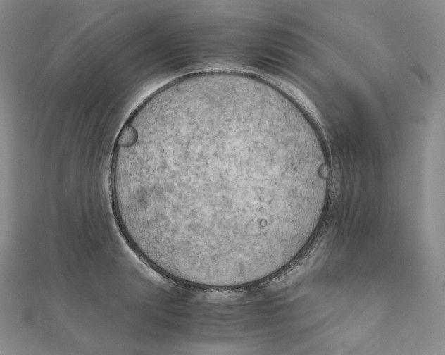 X0000111150847200907281131